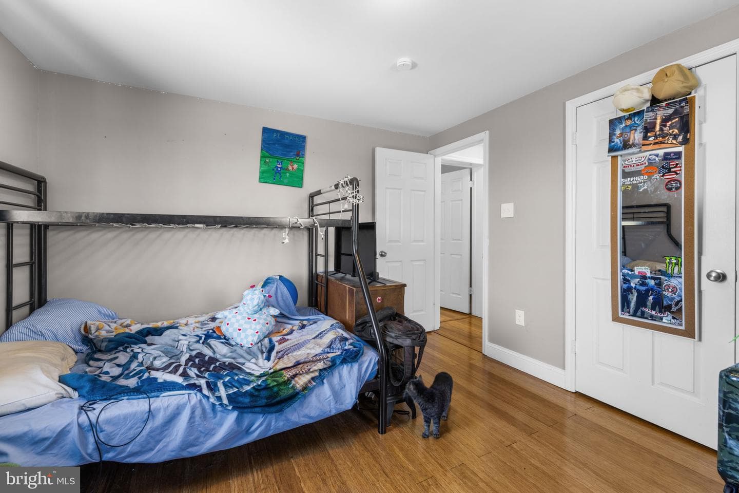 365 Shadowhawk Lane photo 53
