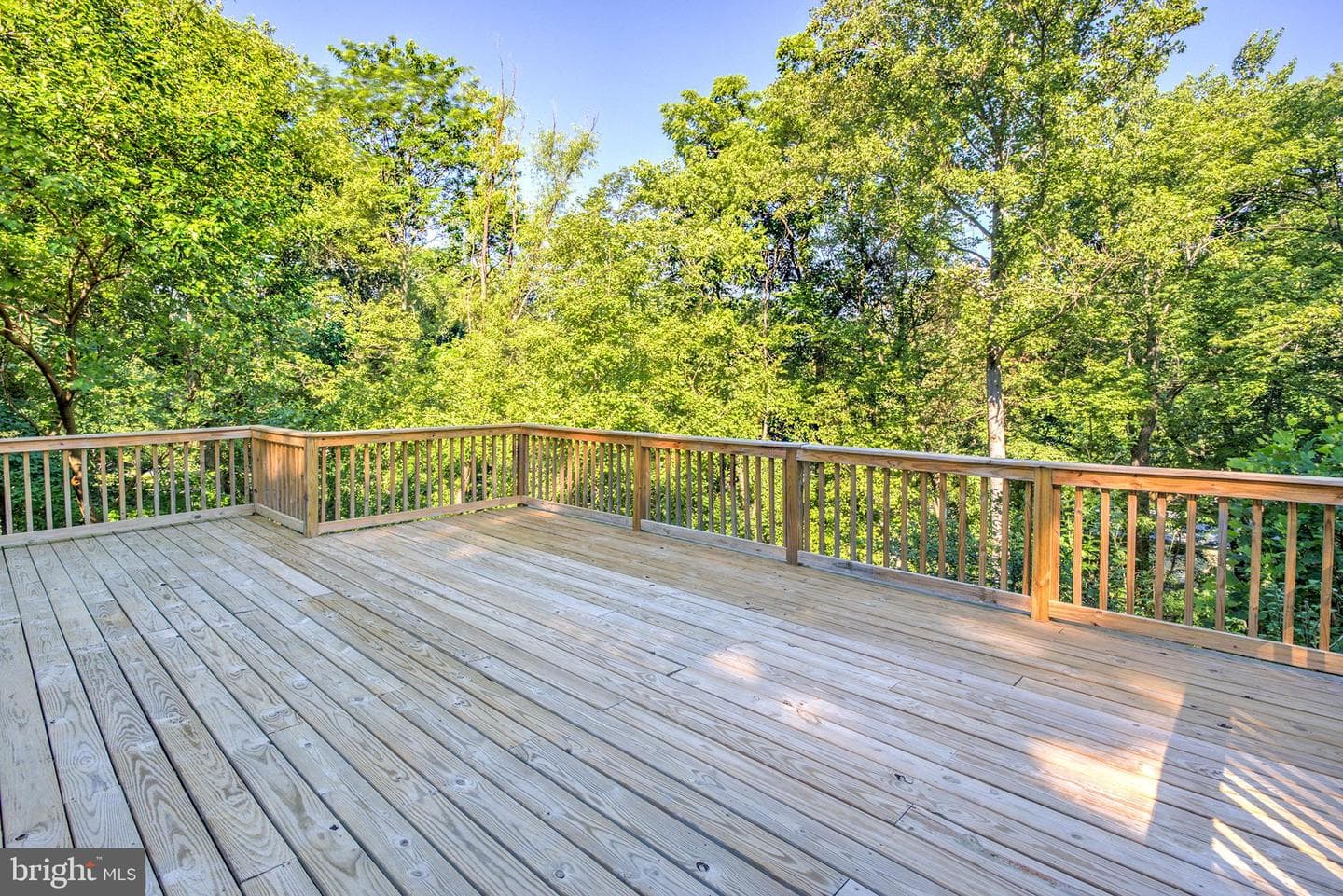 503 Gray Fox Road photo 21