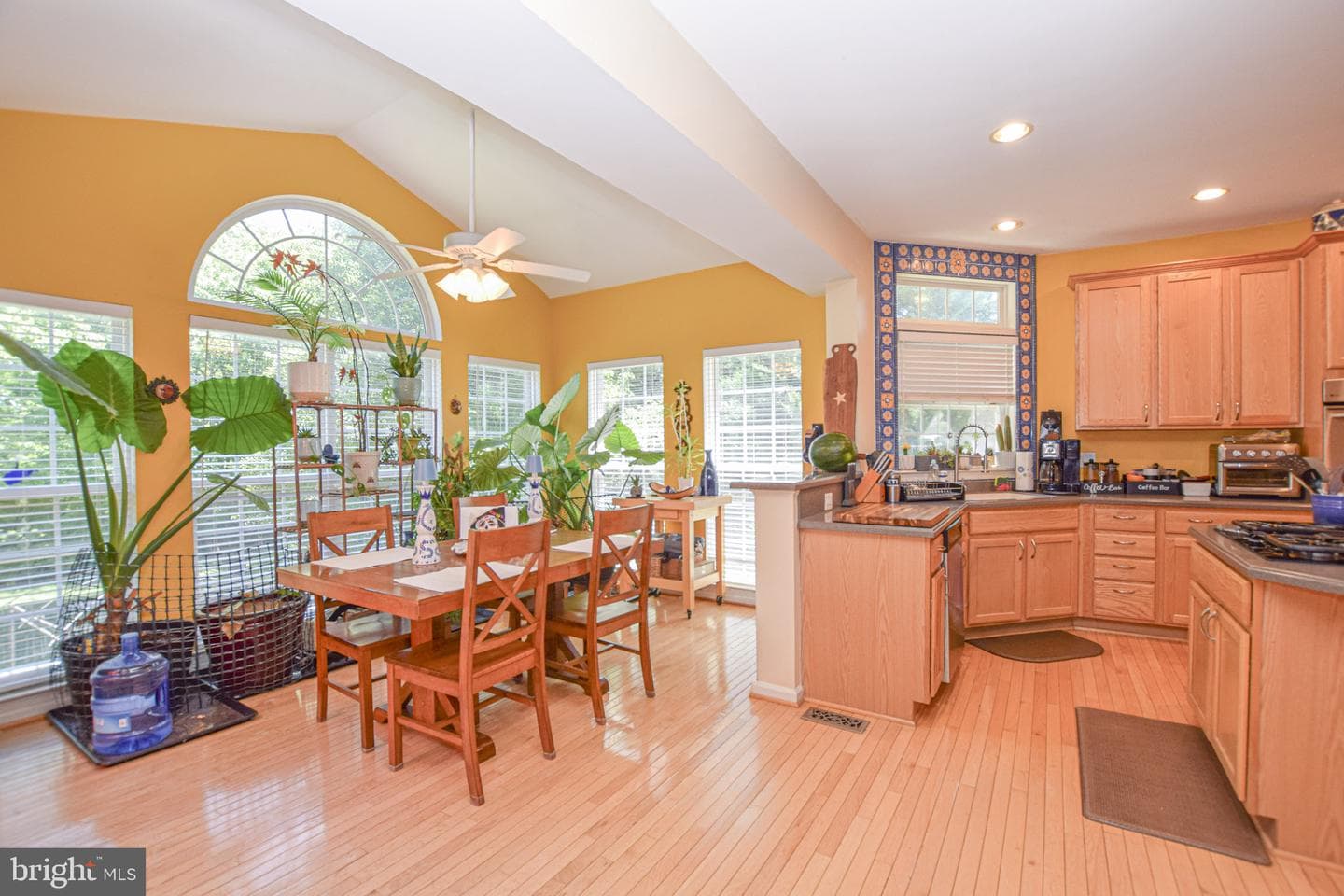 438 Sawgrass Drive photo 11