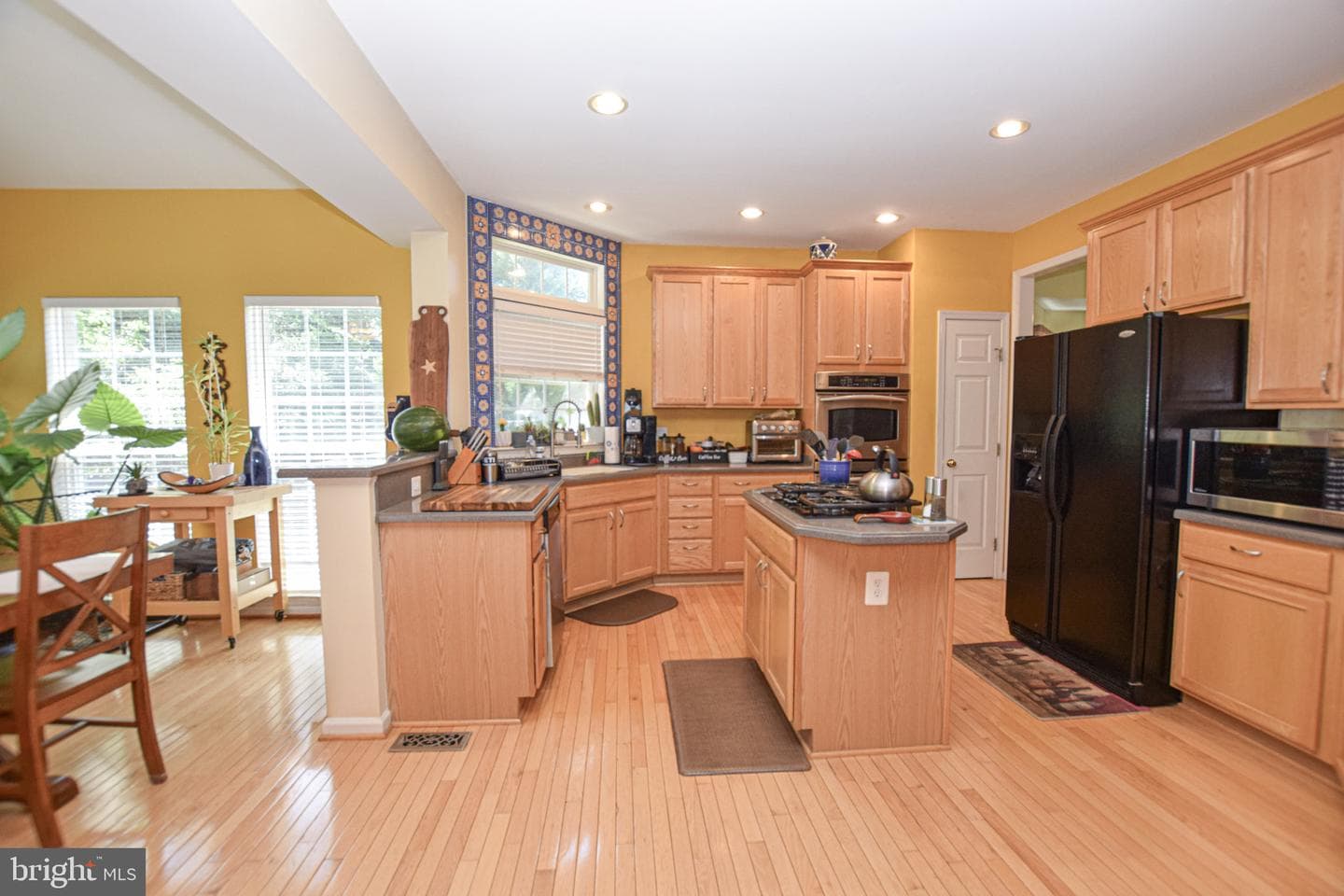 438 Sawgrass Drive photo 13