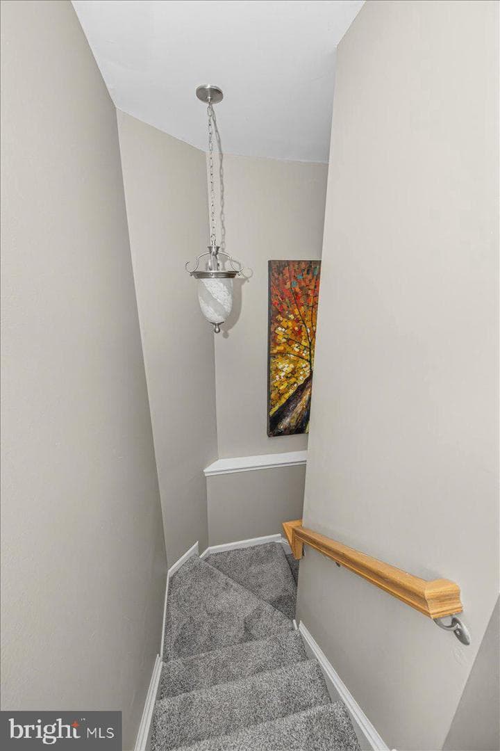 42 Payne Street photo 21