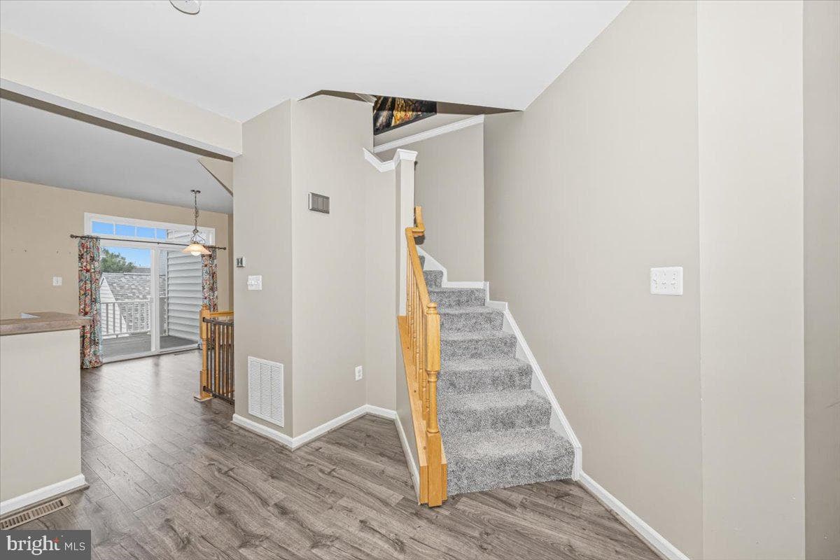 42 Payne Street photo 22