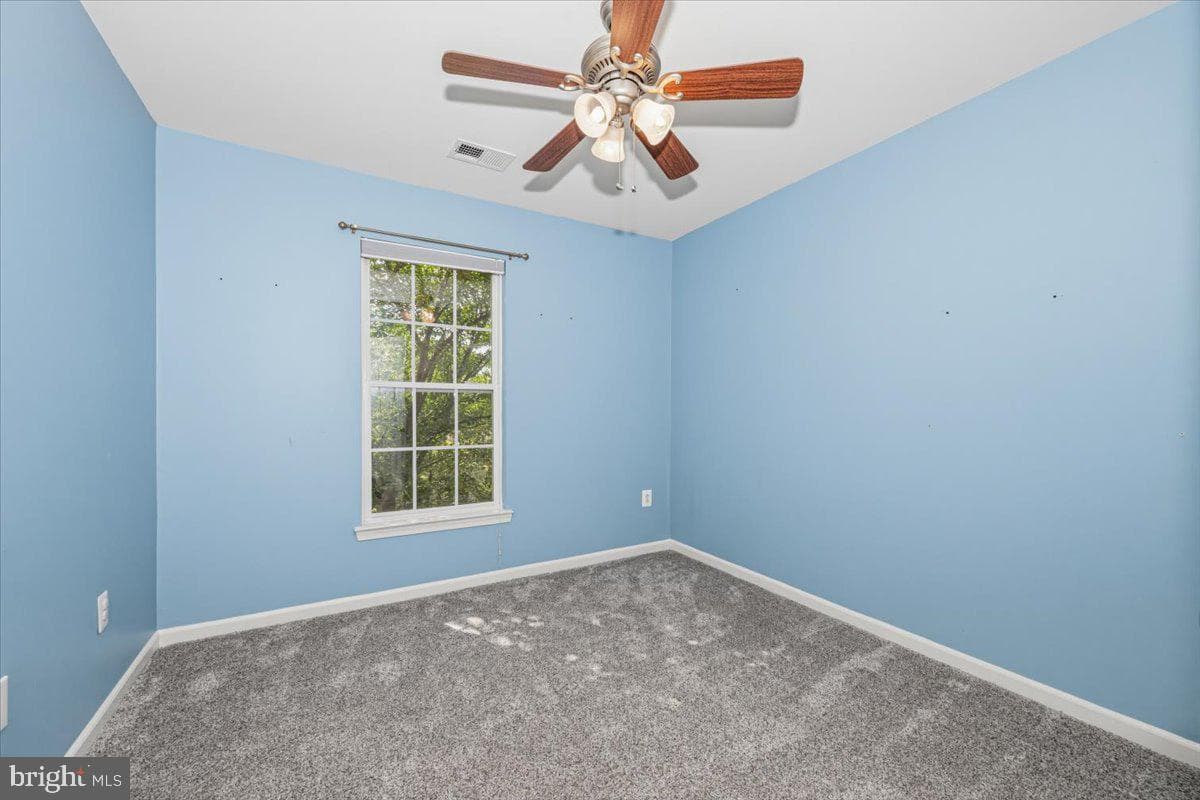 42 Payne Street photo 24