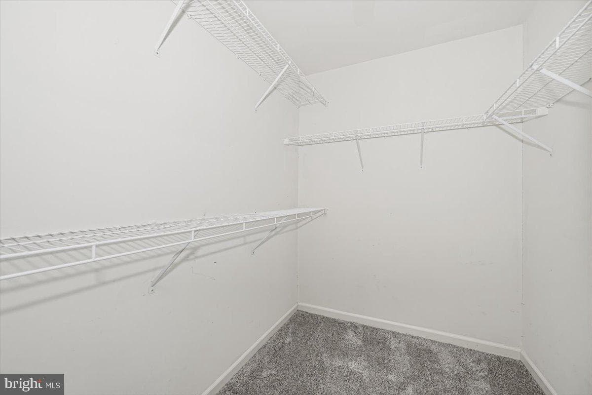42 Payne Street photo 30