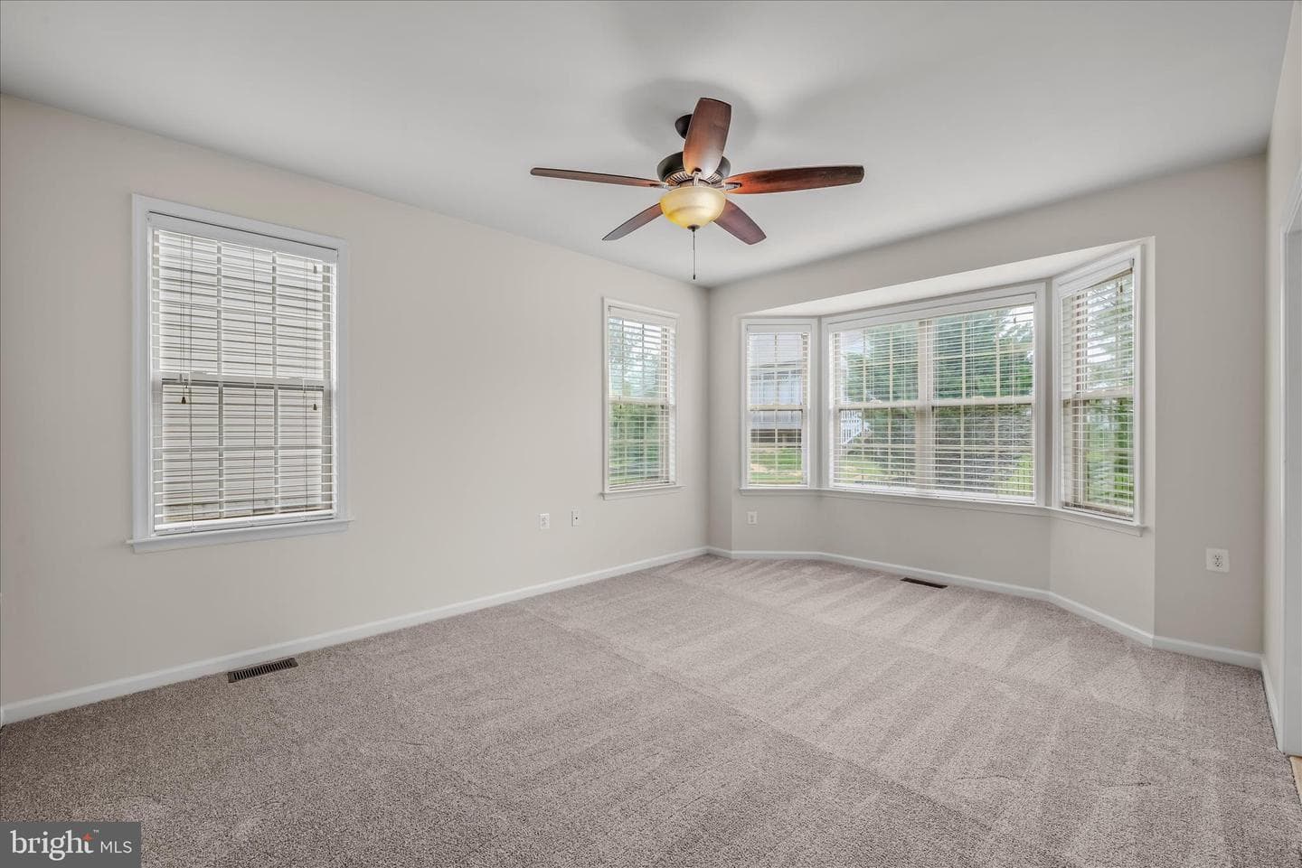 220 Lewis Washington Drive photo 16