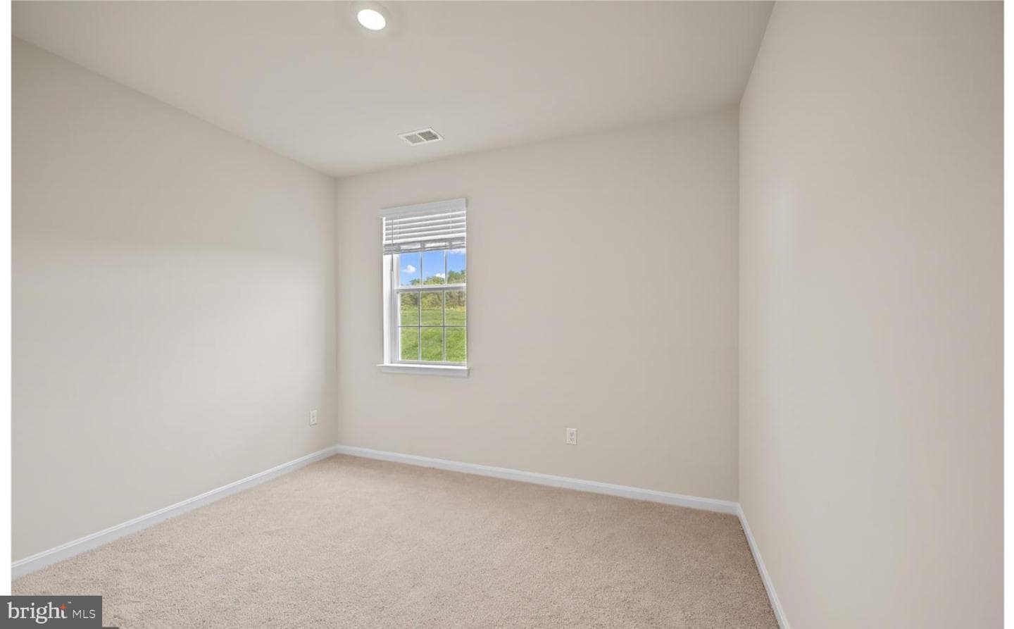 313 Atkinson Street photo 26