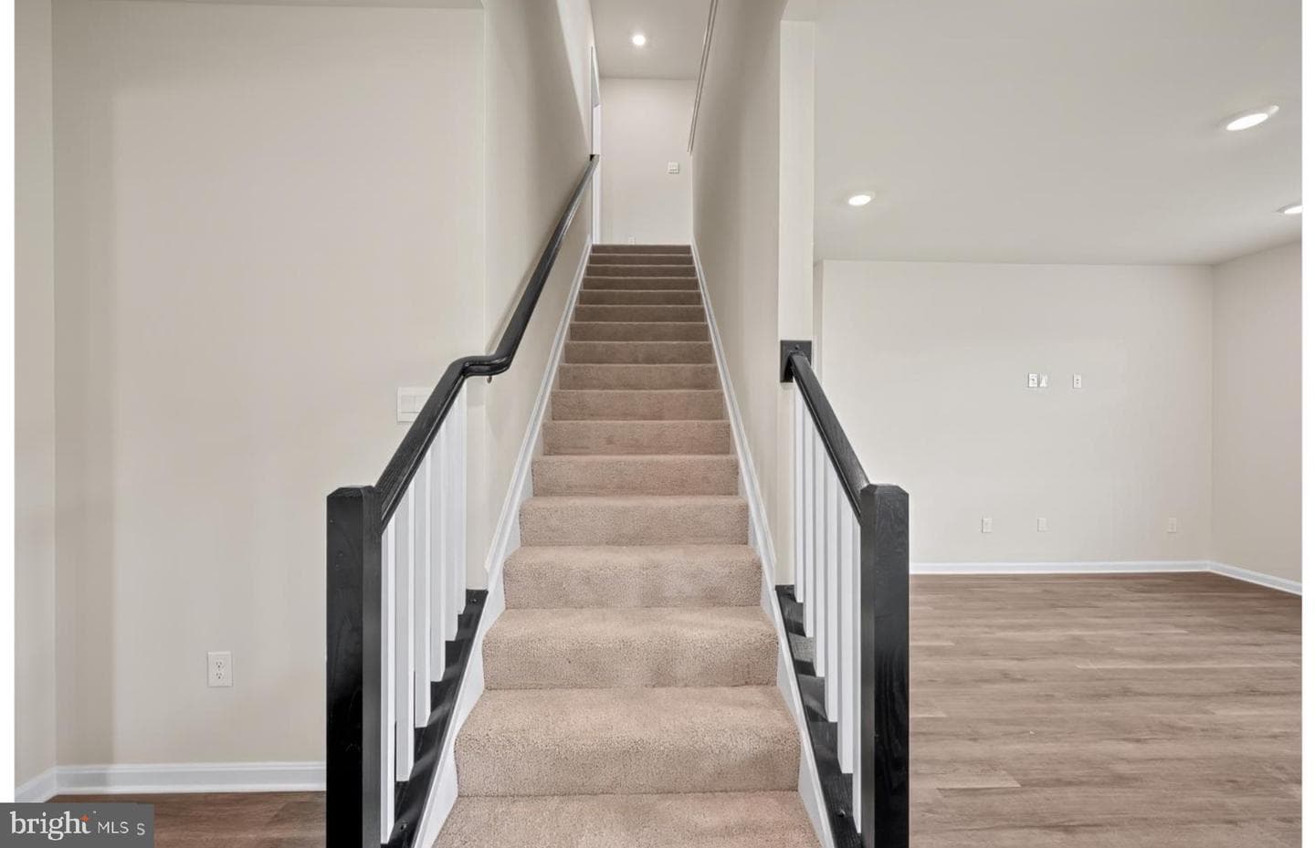313 Atkinson Street photo 29