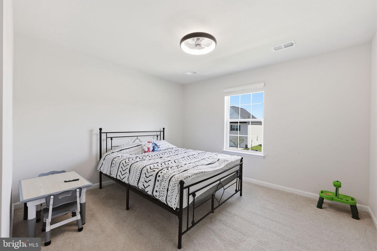 313 Atkinson Street photo 72