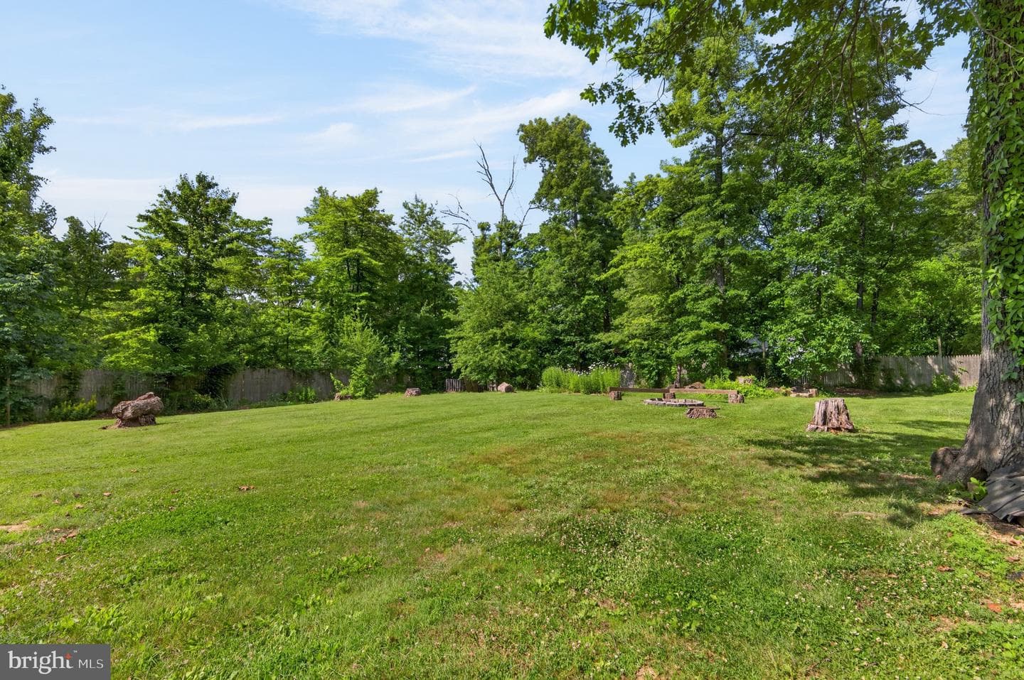 885 Wild Rose Lane photo 3