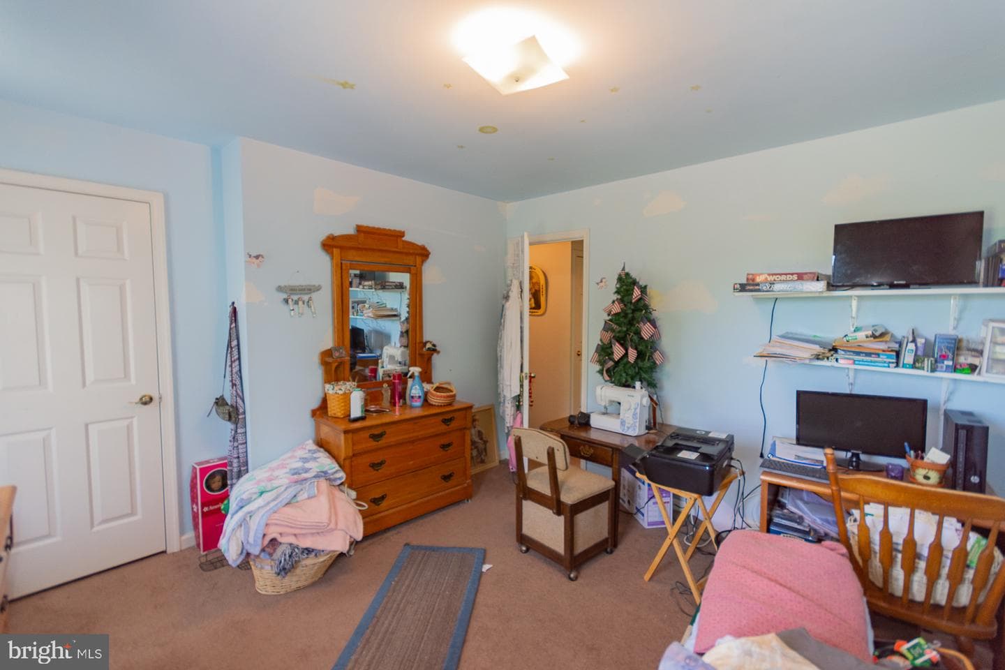 207 Willow Brook Drive photo 20