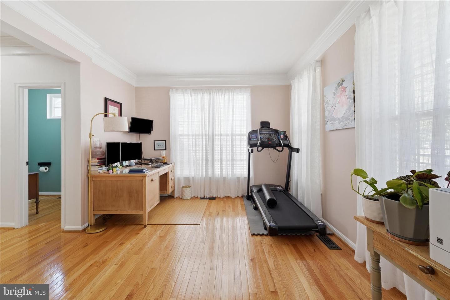 82 Braddock Street photo 9