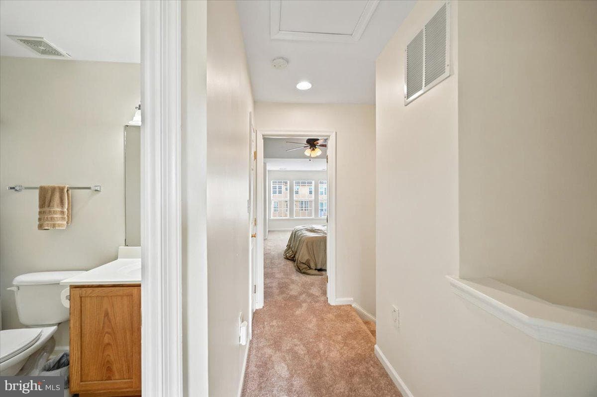 18 Davis Street photo 32