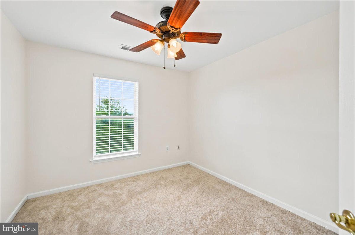 18 Davis Street photo 34