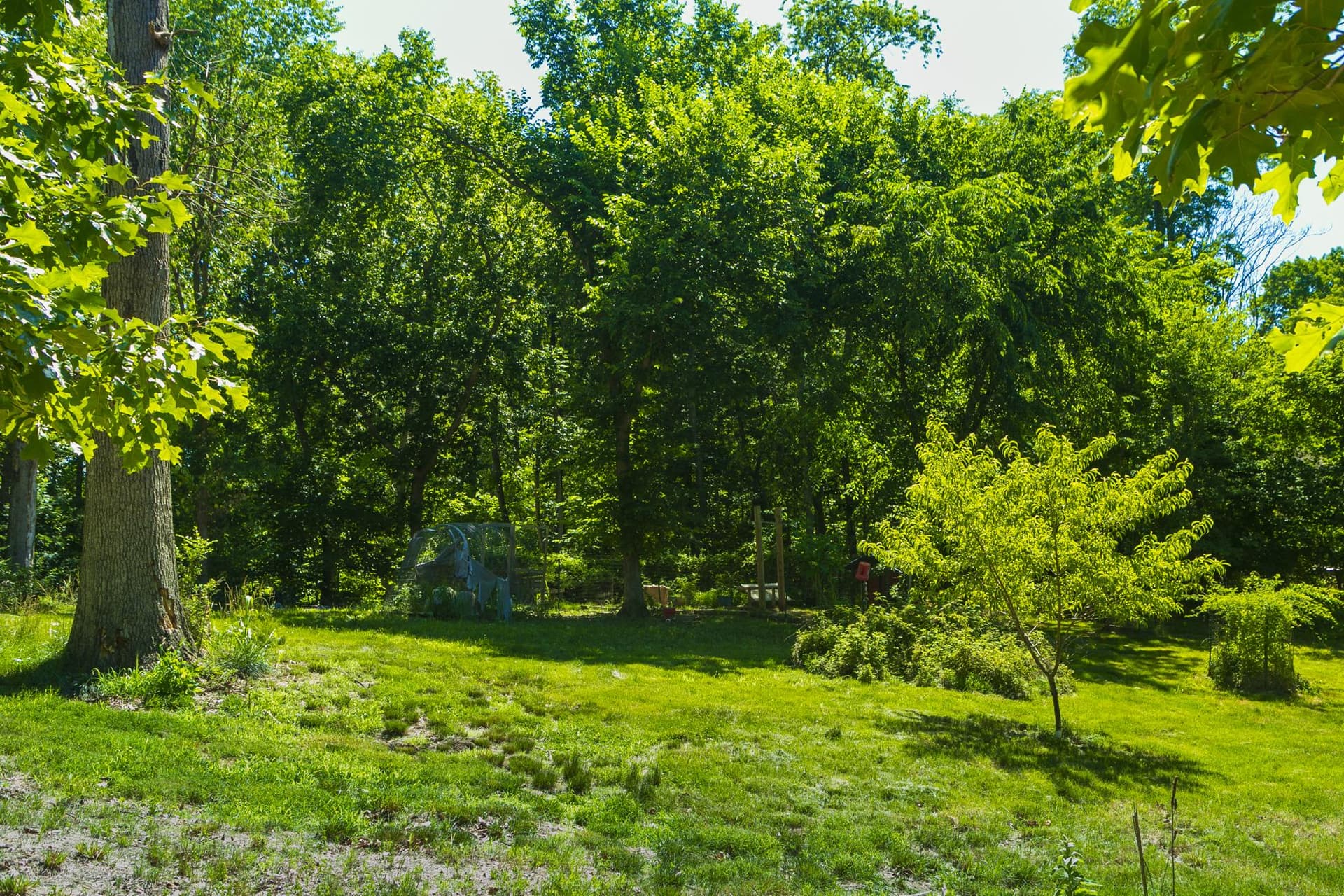 148 Signal Hill Lane photo 37