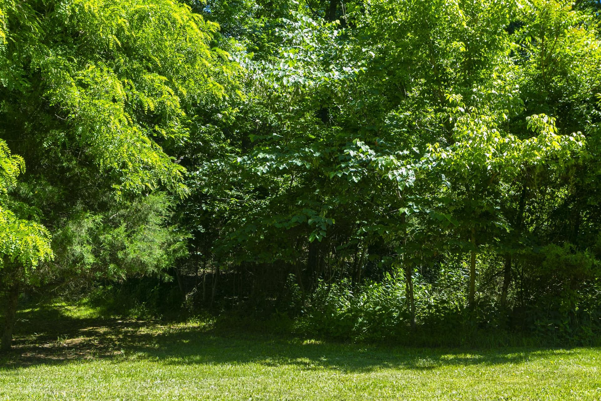 148 Signal Hill Lane photo 44