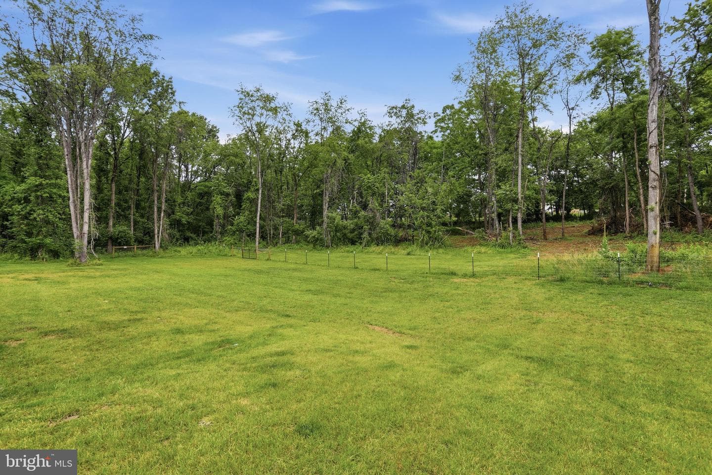 114 Southpaw Lane photo 36