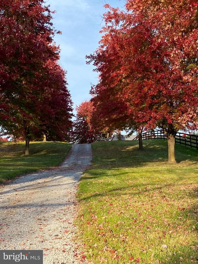 1507 Old Rider Road photo 12
