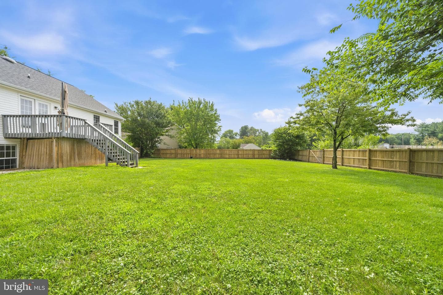 71 Thumper Drive photo 39