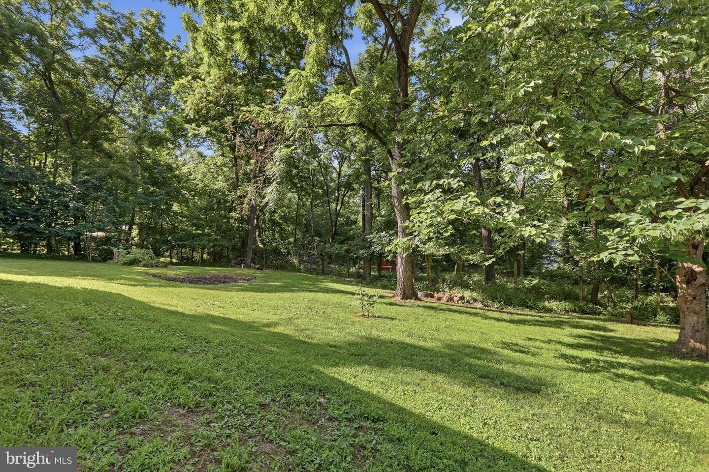 253 Persimmon Pear Lane photo 49