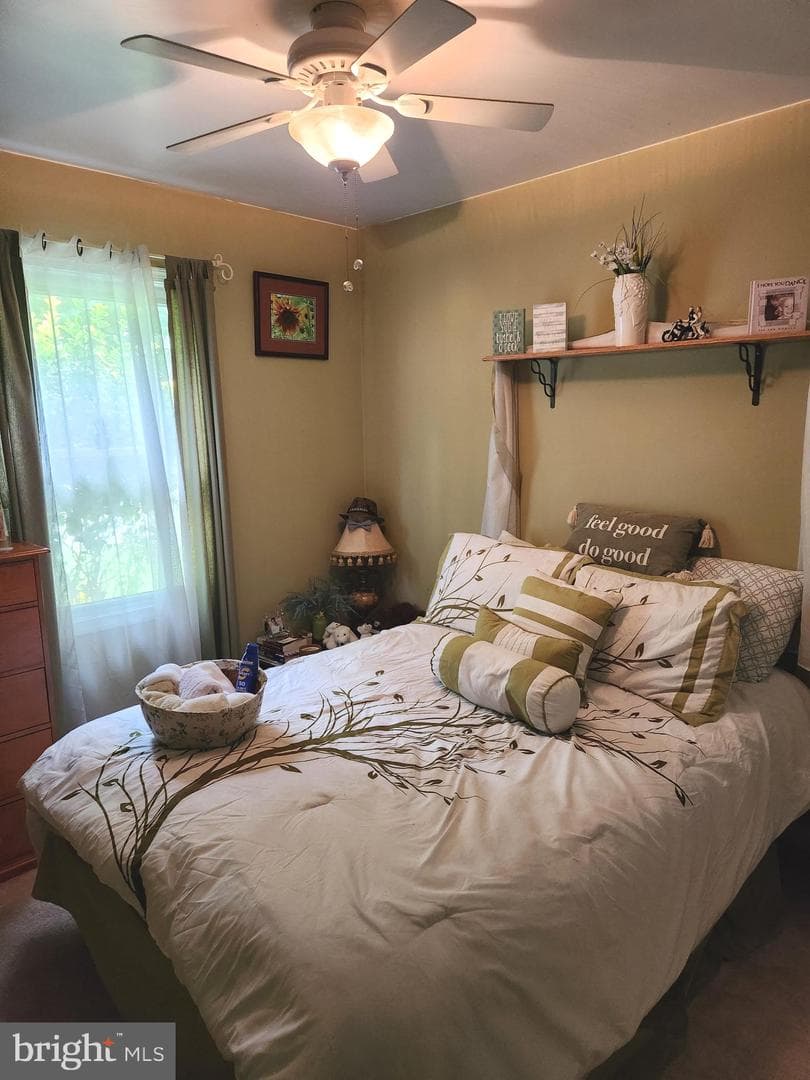 58 Branchy Road photo 26