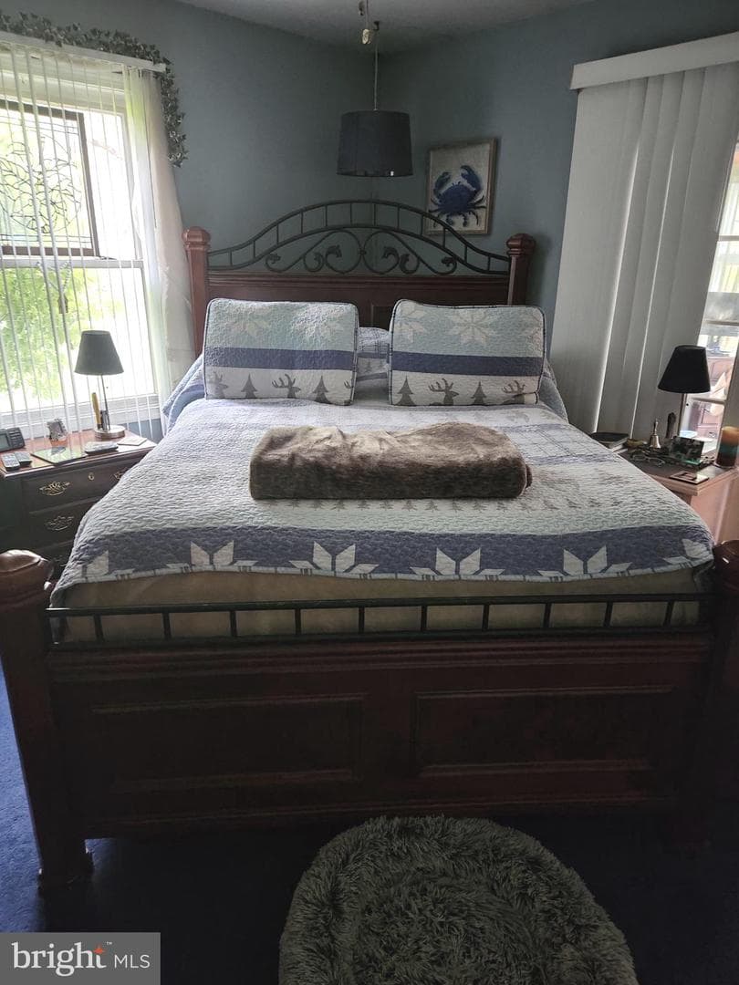58 Branchy Road photo 29