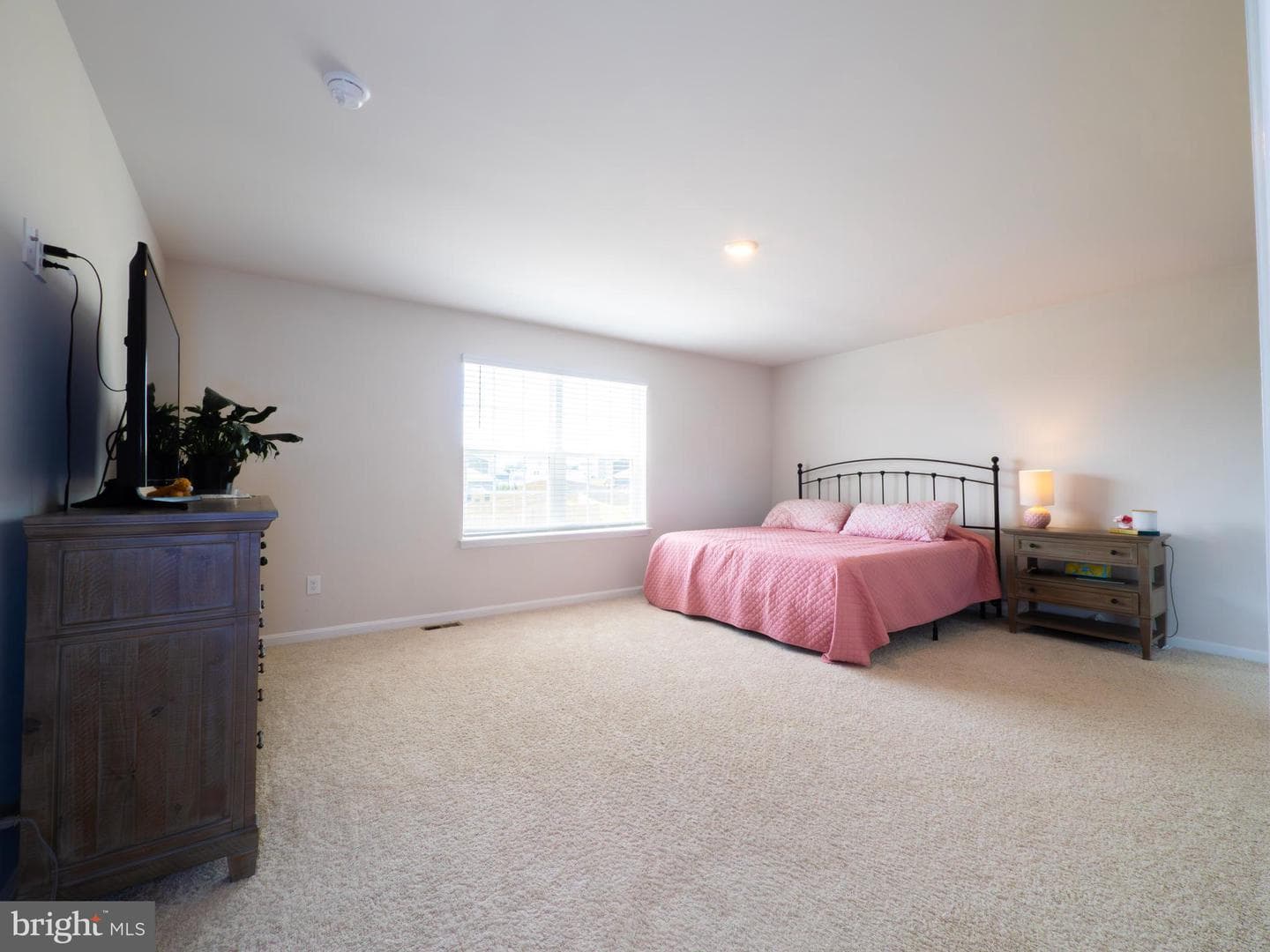 354 Gumspring Drive photo 10