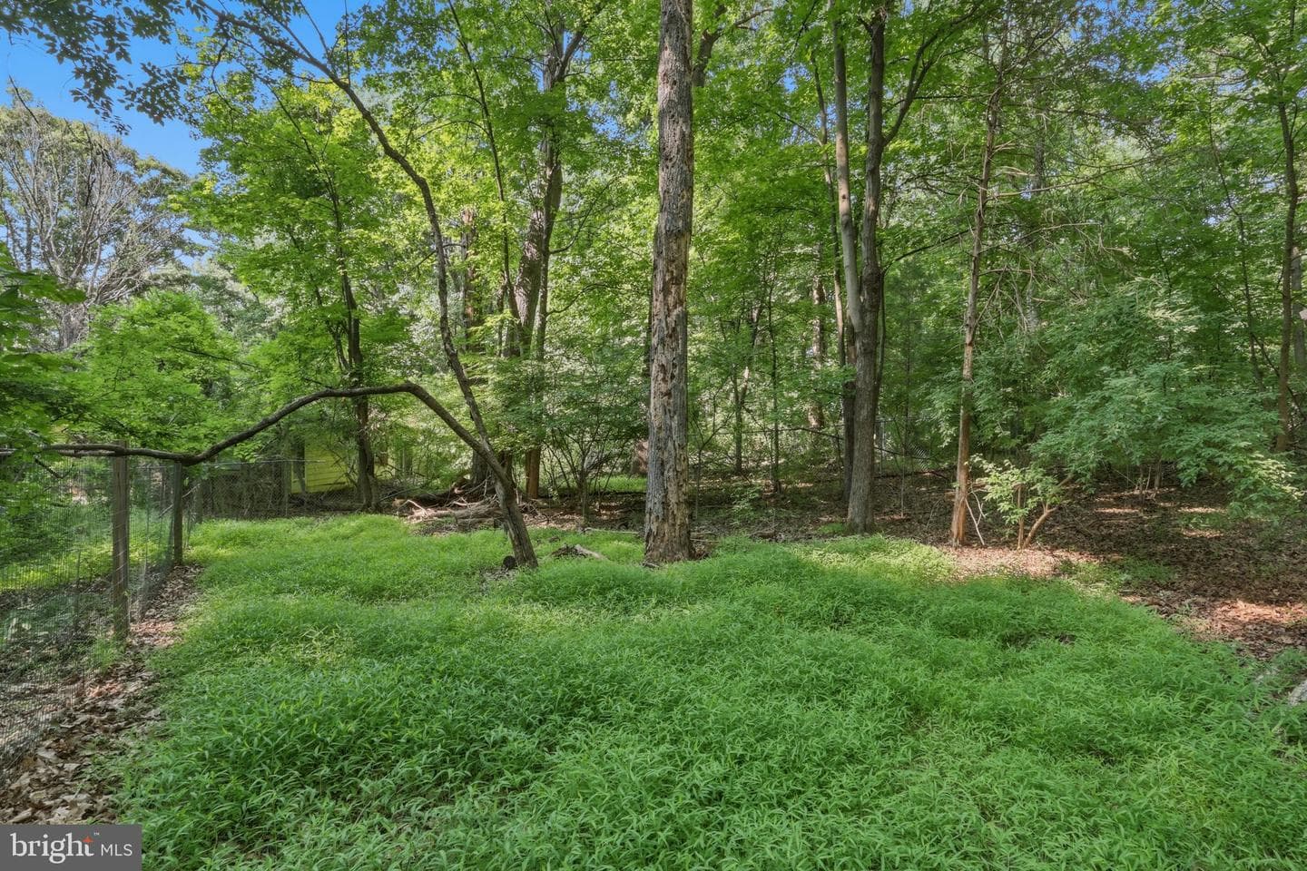 656 Kelly Drive photo 51