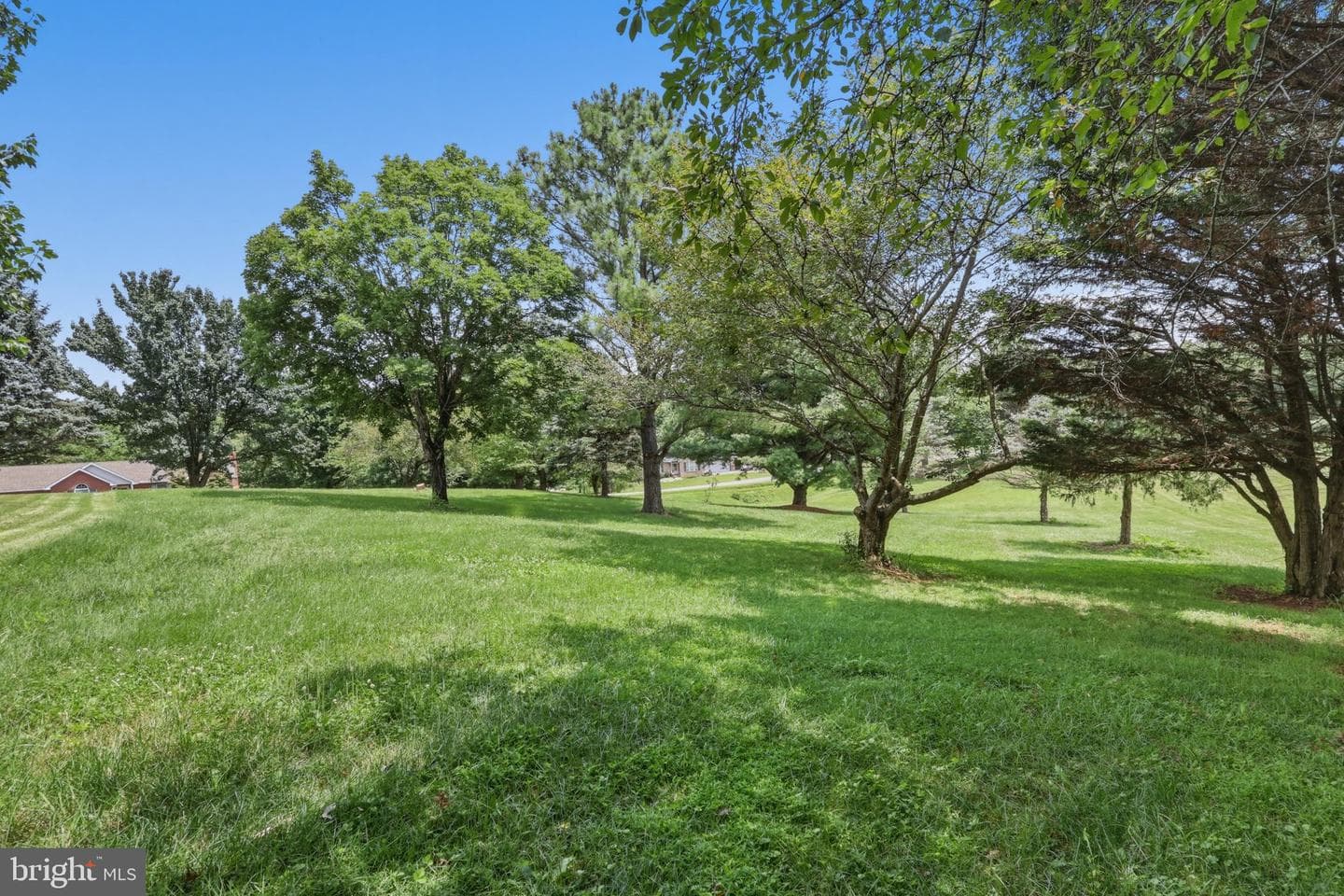 23 Teakwood Court photo 47