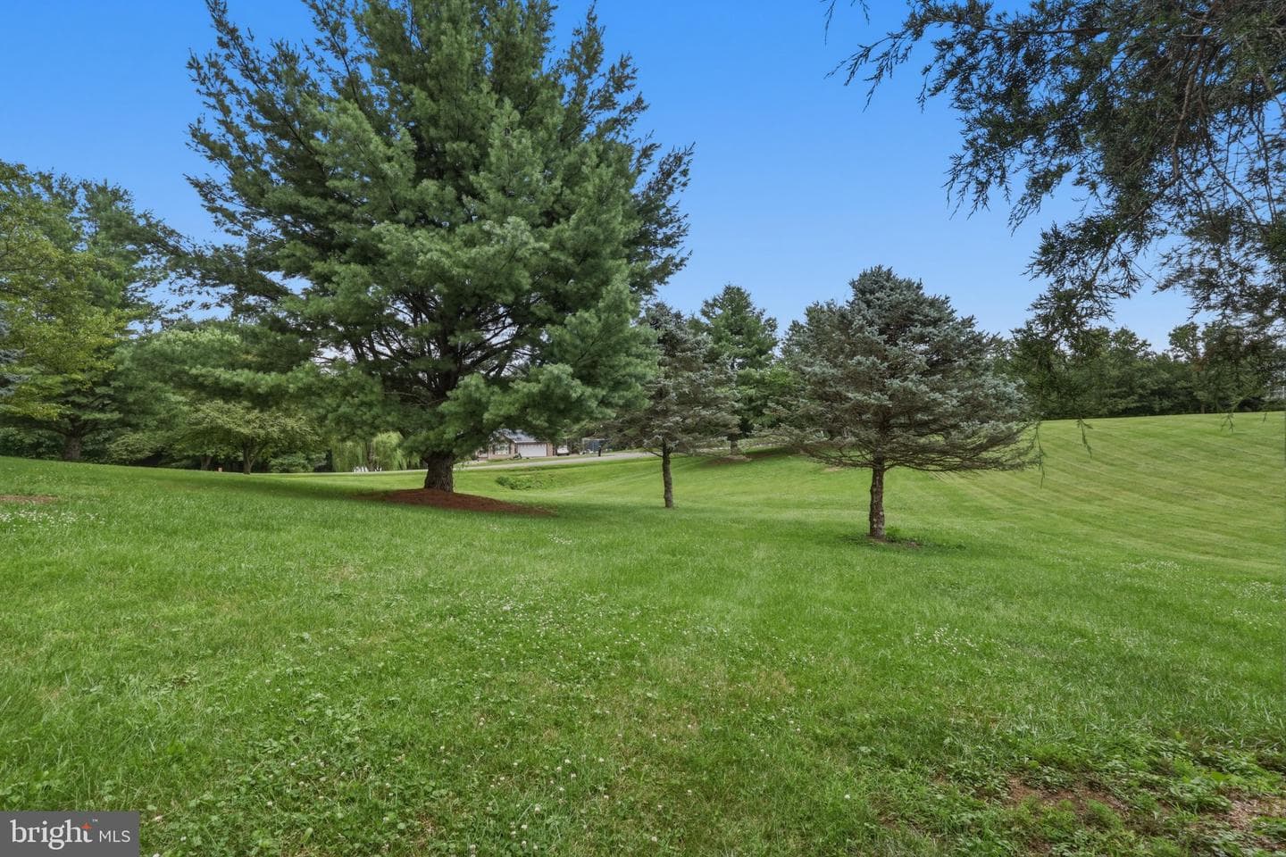 23 Teakwood Court photo 49