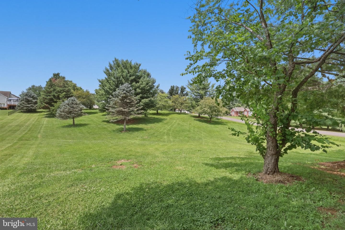 23 Teakwood Court photo 50