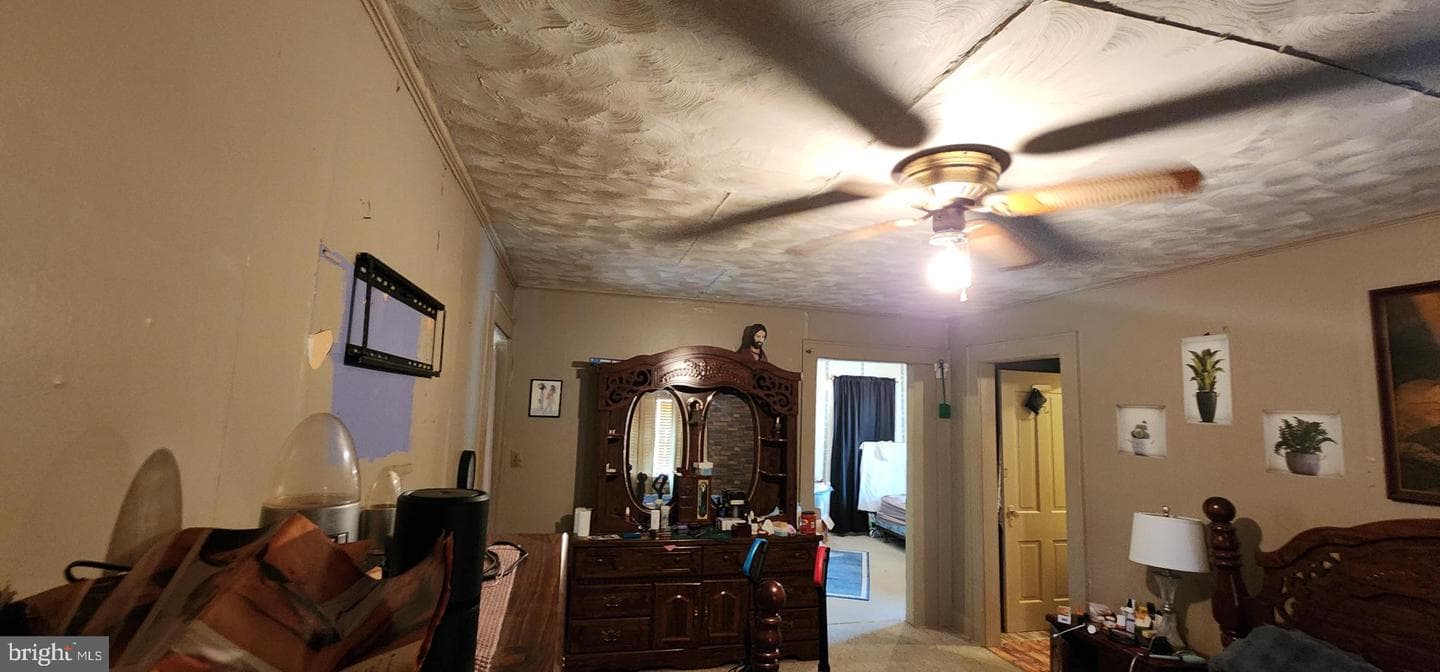 502 Alexander St photo 49