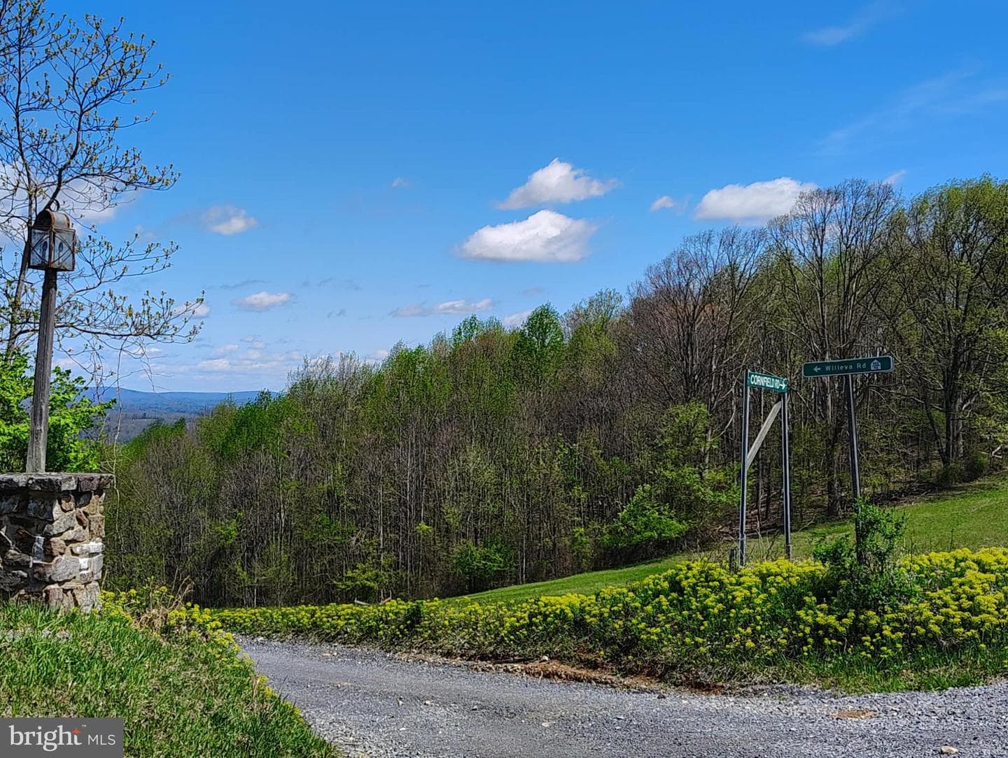 303 Willeva Road photo 36