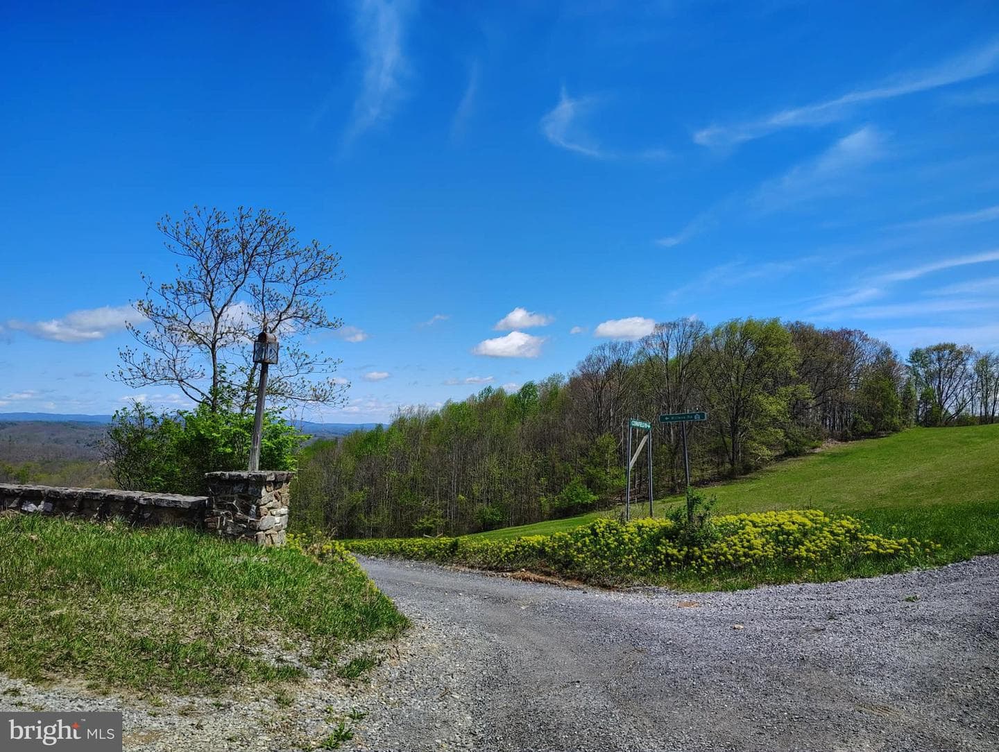 303 Willeva Road photo 37