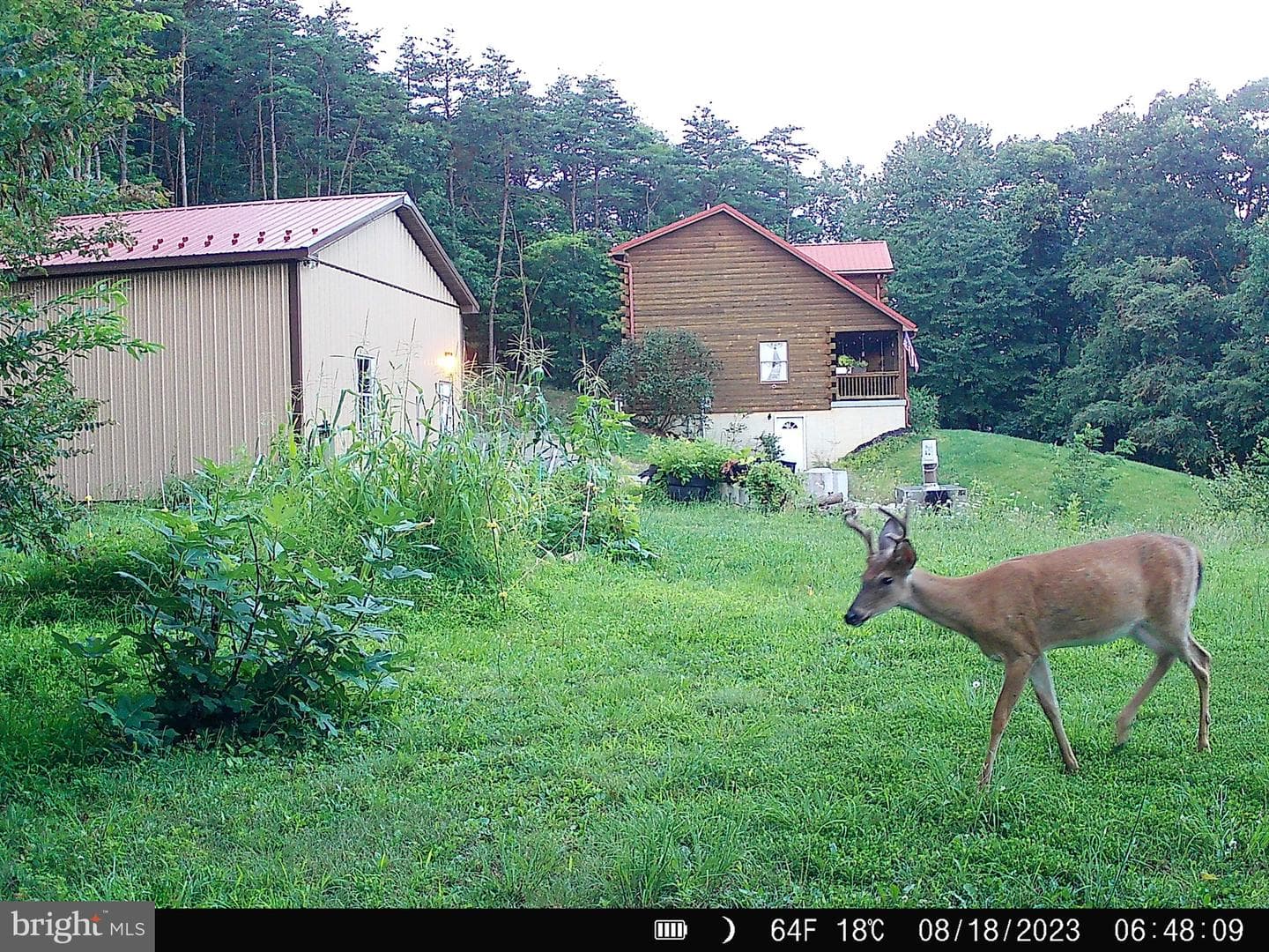 127 Cameron Orchard Rd photo 21