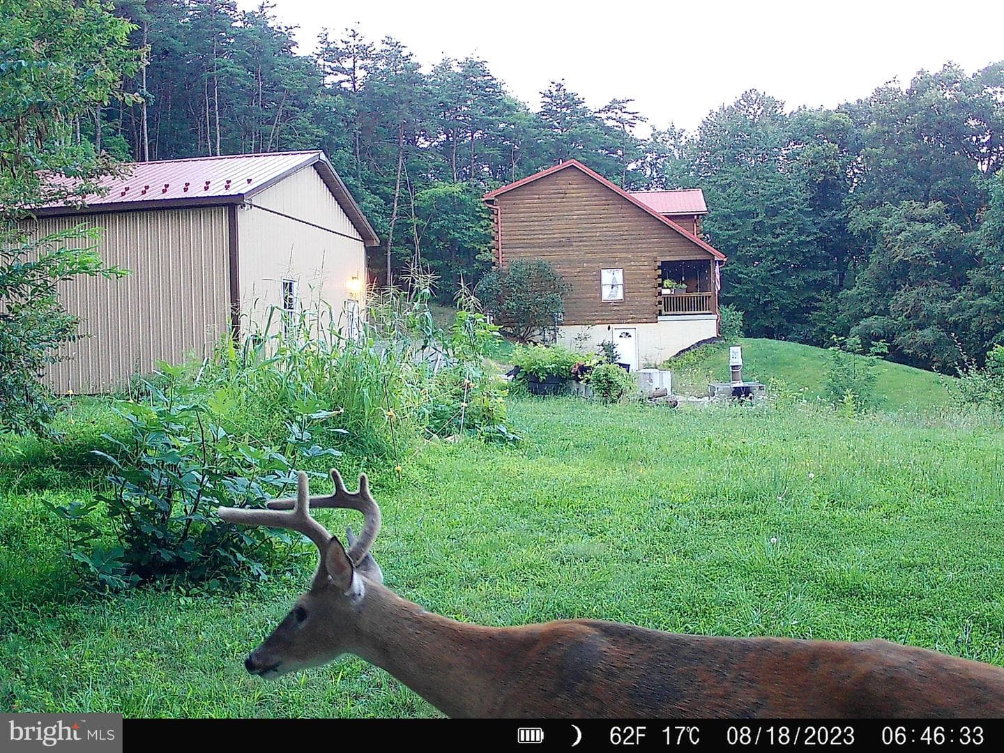 127 Cameron Orchard Rd photo 22