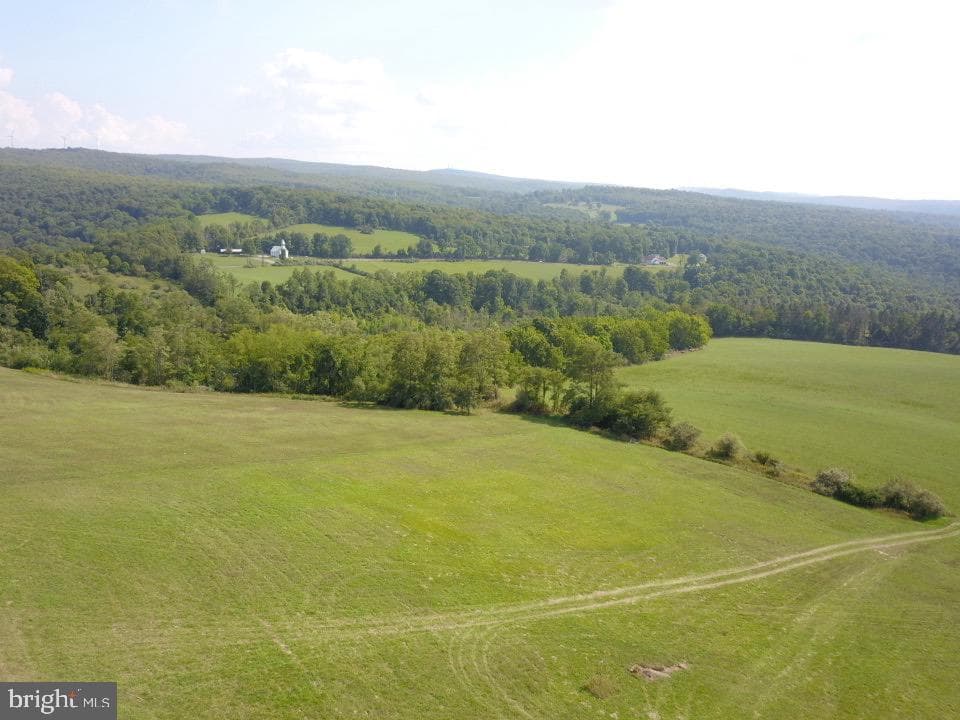 764 Maple Forest Lane photo 34