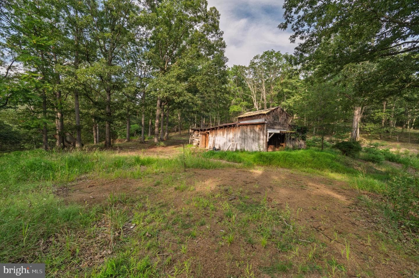 13531 Frankfort Highway photo 65