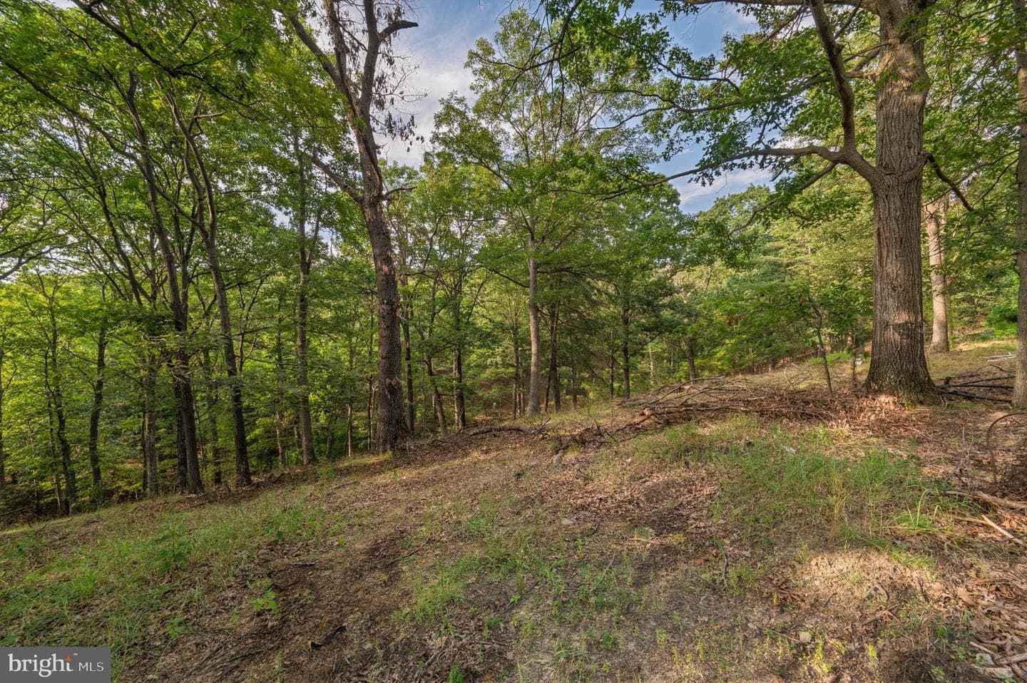 13531 Frankfort Highway photo 66