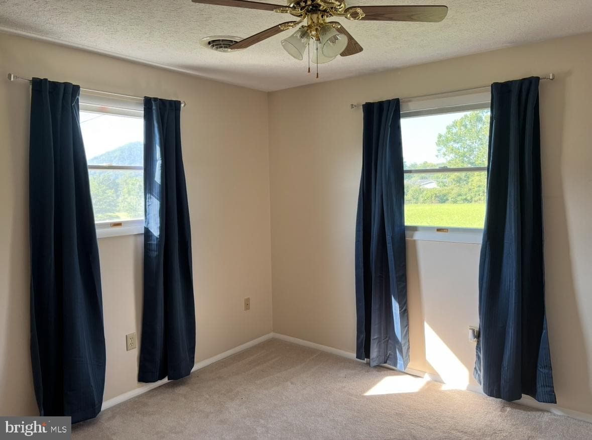 136 Meadow Street photo 22