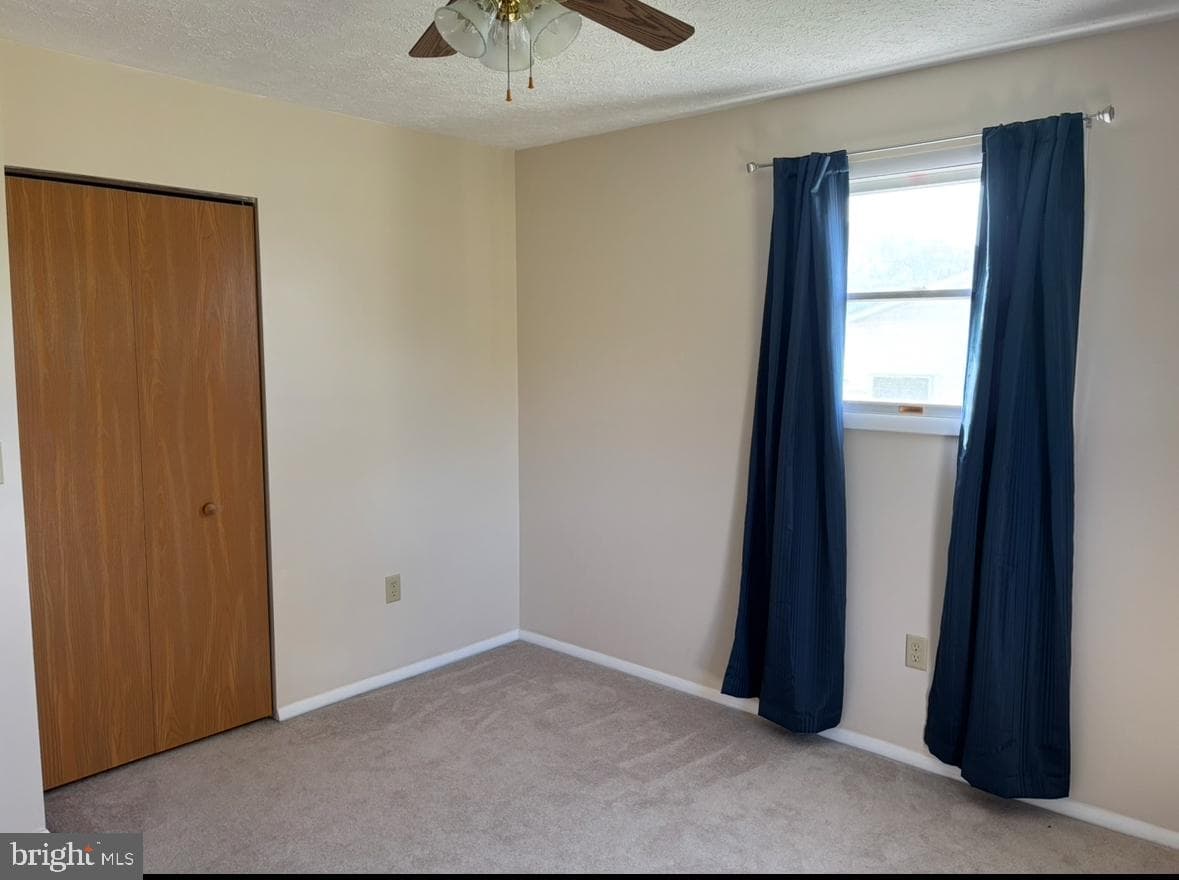 136 Meadow Street photo 23