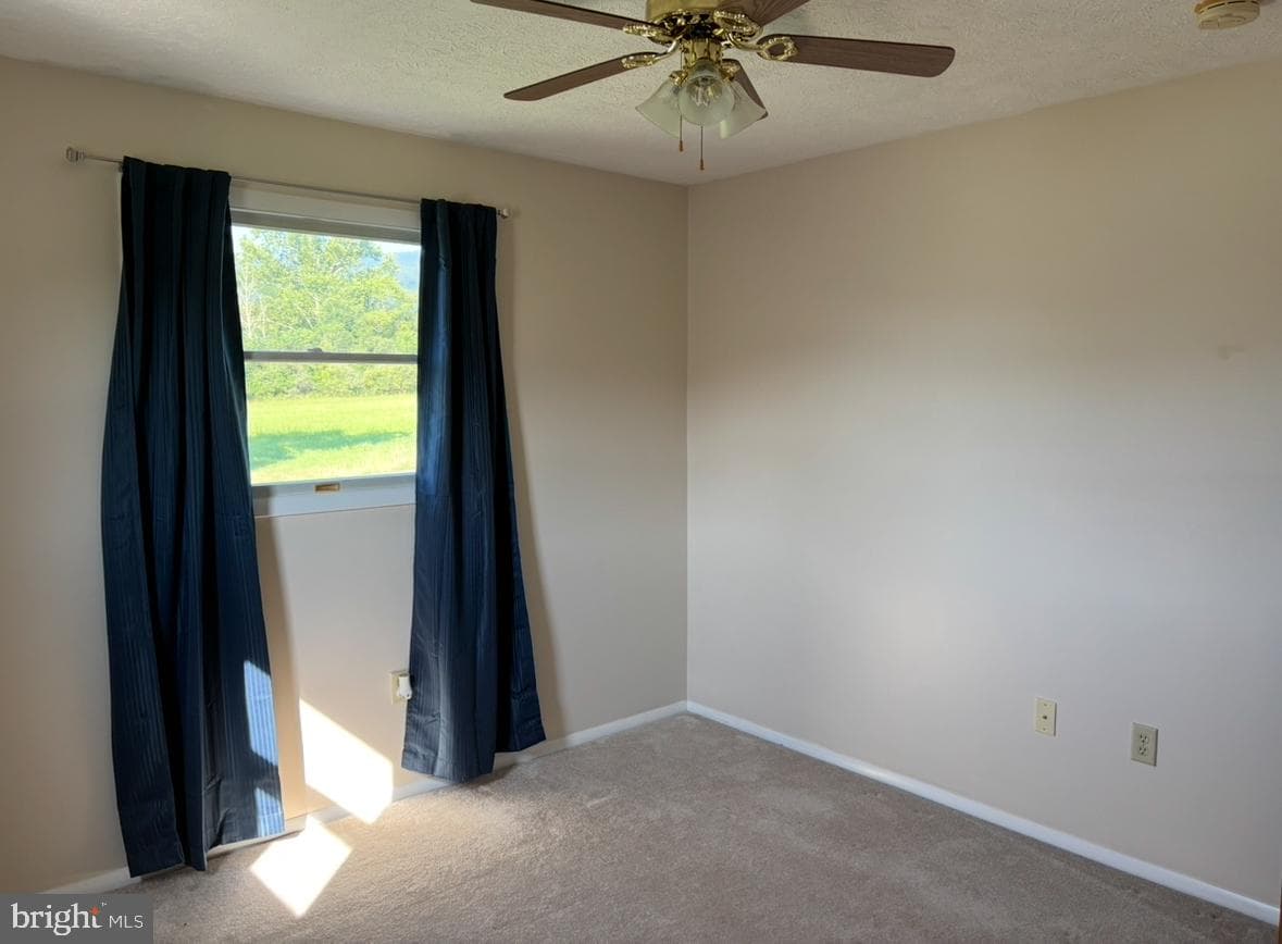 136 Meadow Street photo 24