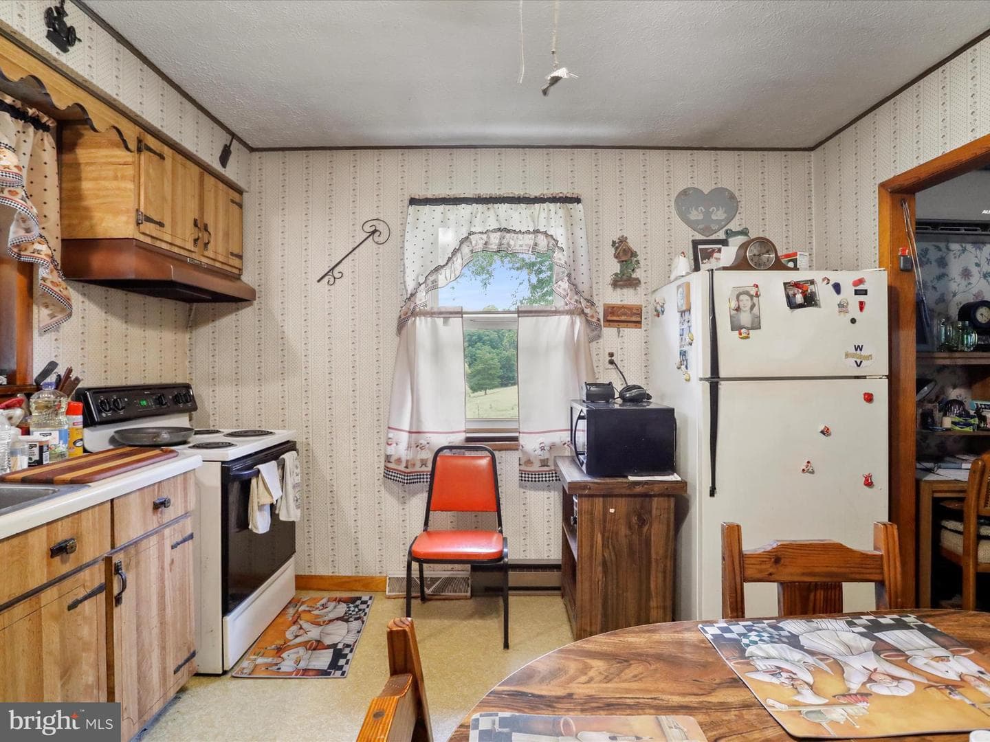 736 Susan Fleek Road photo 17