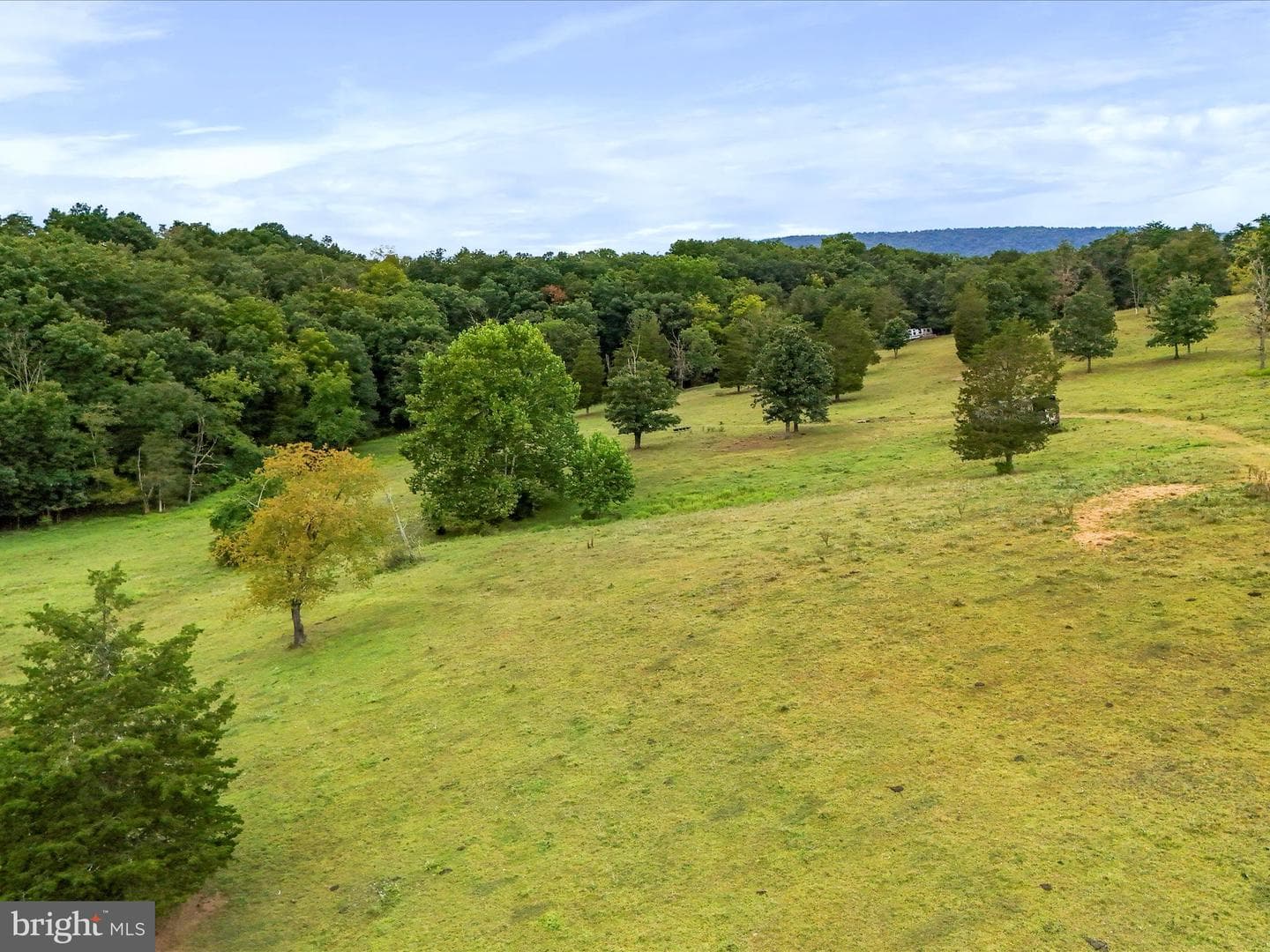 736 Susan Fleek Road photo 7