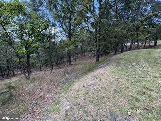 Lots 79 & 80 Woods At Taylor Lake photo 16