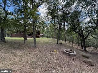 Lots 79 & 80 Woods At Taylor Lake photo 19
