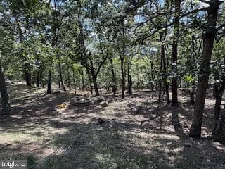 Lots 79 & 80 Woods At Taylor Lake photo 29
