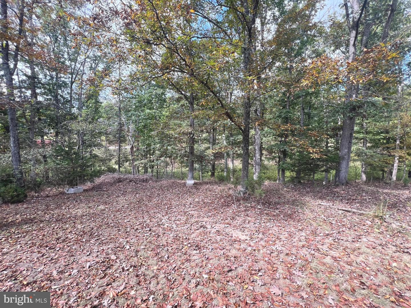 4549 Georges Run Road photo 3