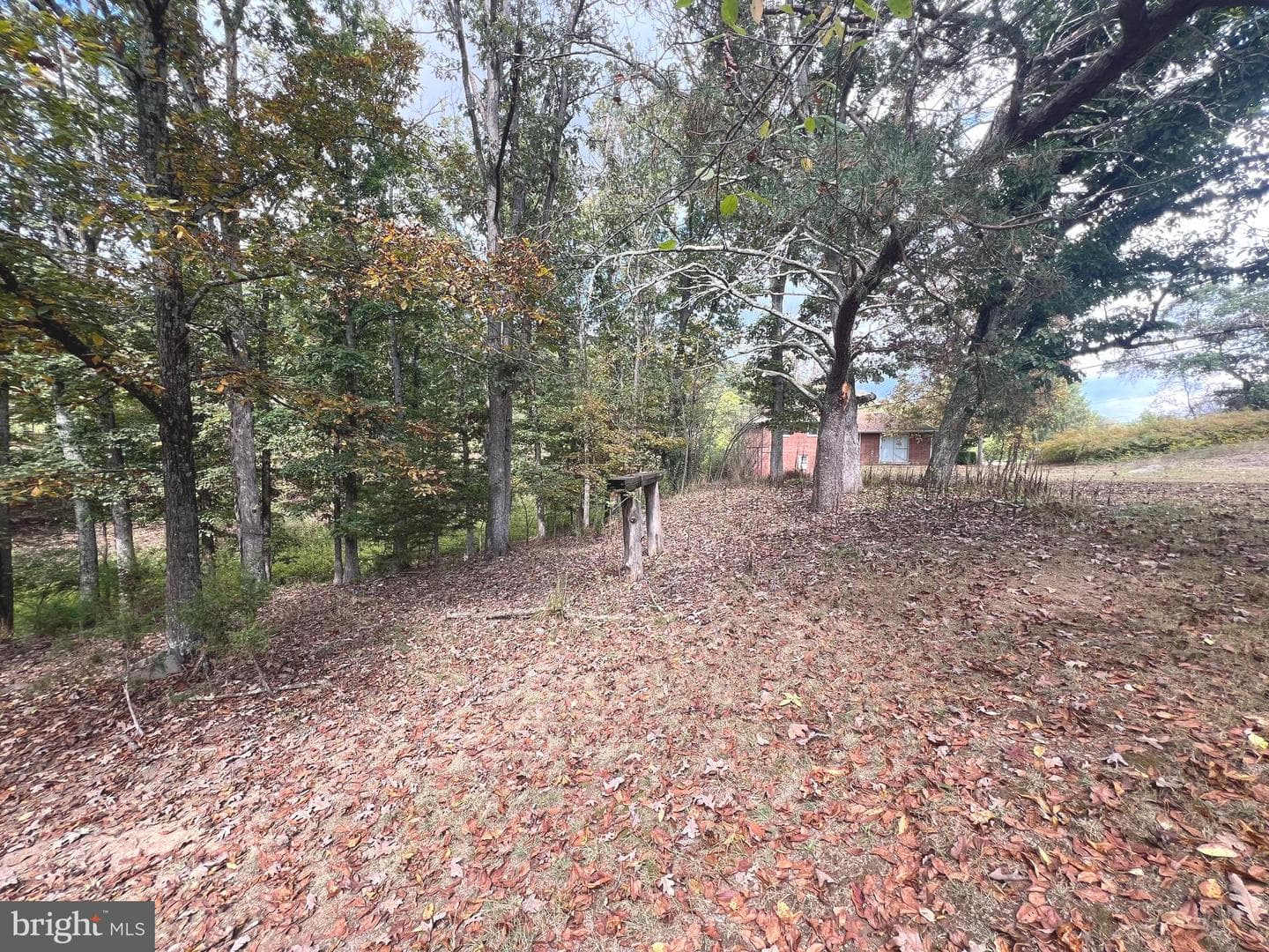 4549 Georges Run Road photo 4