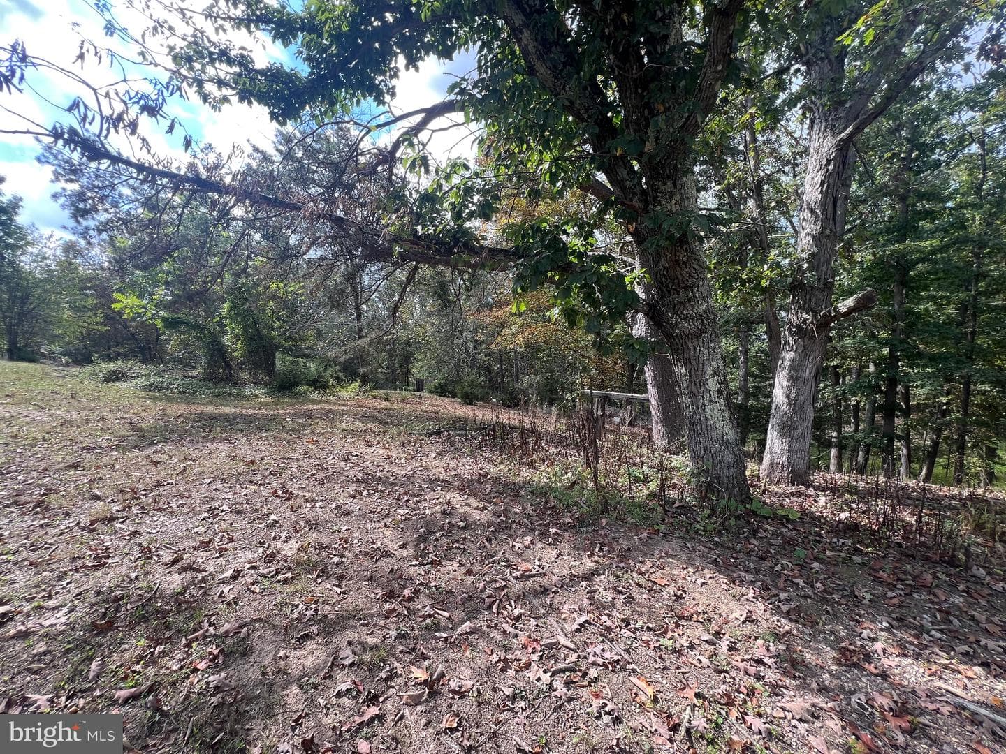 4549 Georges Run Road photo 48