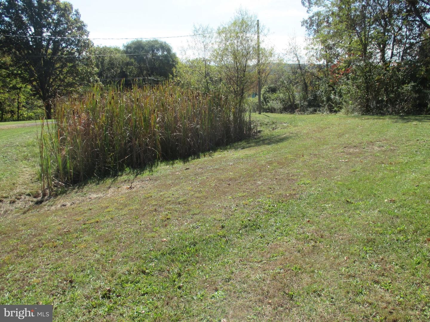 11198 Knobley Road photo 7